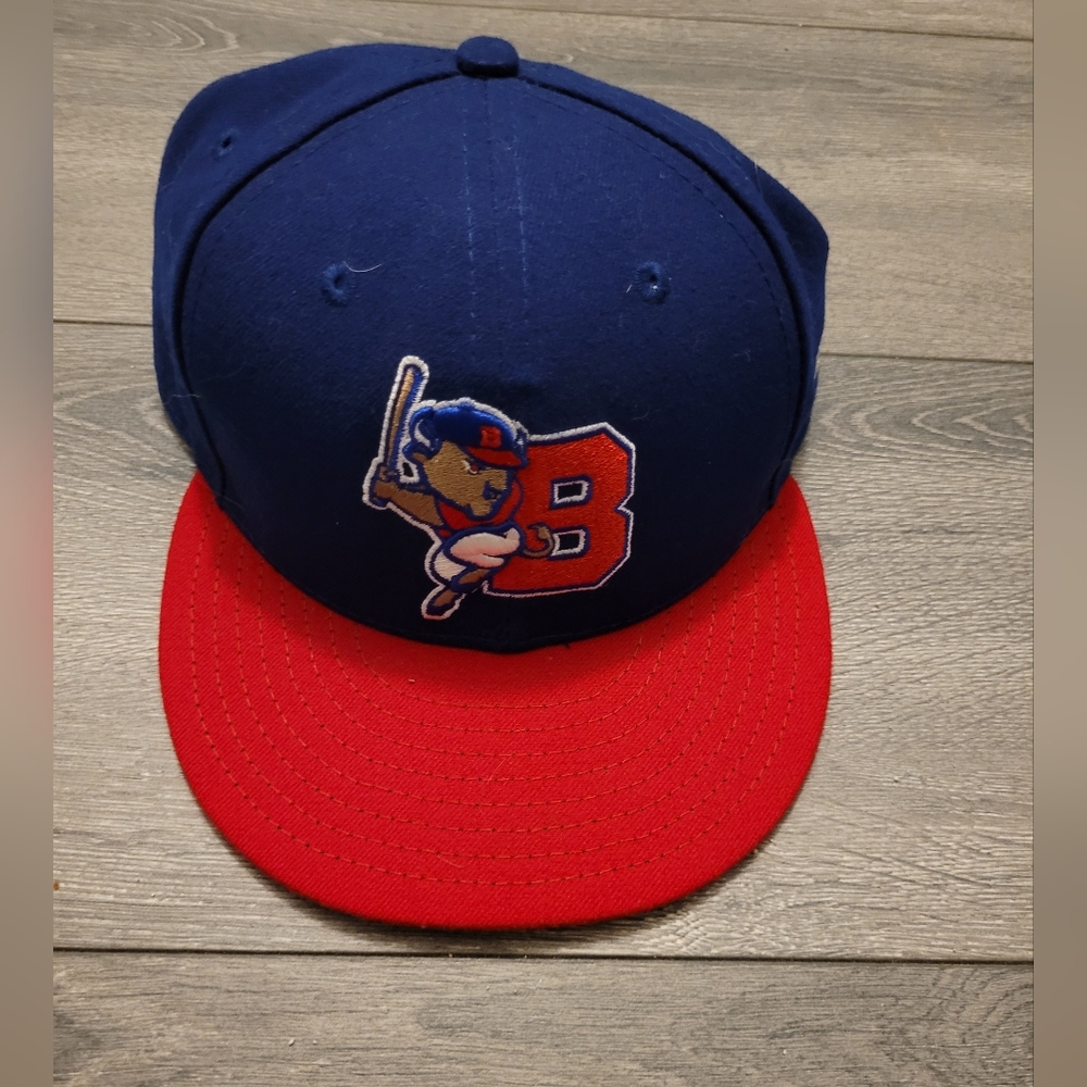 Buffalo bisons